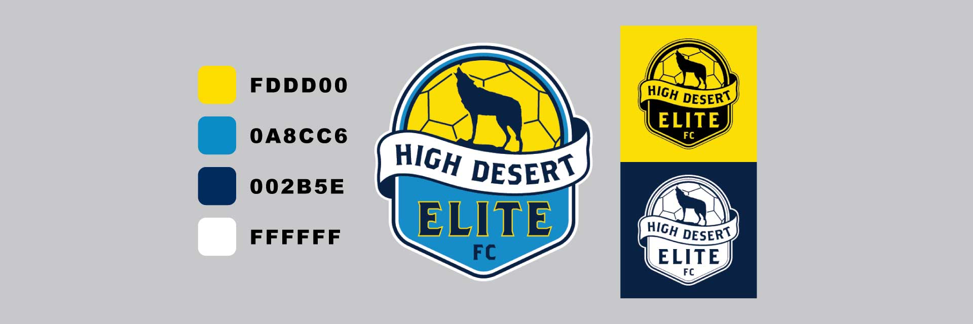 HIGH DESERT ELITE Logo Colors